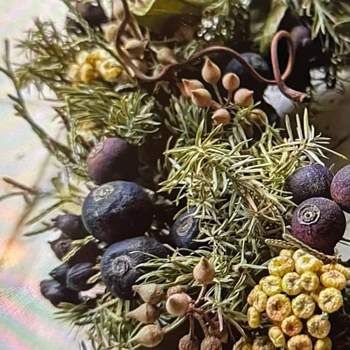 送料無料！シャリンバイ ドライフラワー リース スワッグのアレンジ