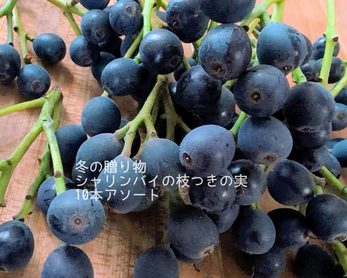 送料無料！シャリンバイ ドライフラワー リース スワッグのアレンジ