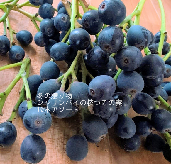 送料無料！シャリンバイ ドライフラワー リース スワッグのアレンジ