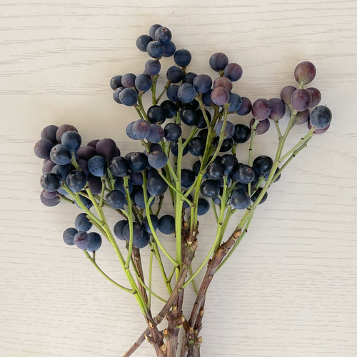 送料無料！シャリンバイ ドライフラワー リース スワッグのアレンジ