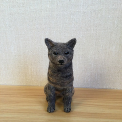 YT様　甲斐犬　羊毛フェルト　確認用 YT様 甲斐犬 羊毛フェルト 確認用 YT様 甲斐犬 羊毛フェルト 確認用