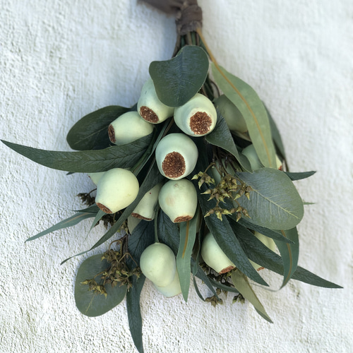 おしゃれなユーカリのスワッグ シンプル ナチュラル スワッグ atelier