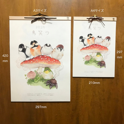 ☆A3サイズ☆ 2025年カレンダー『鳥笑ウ』 カレンダー ふじいかずえ