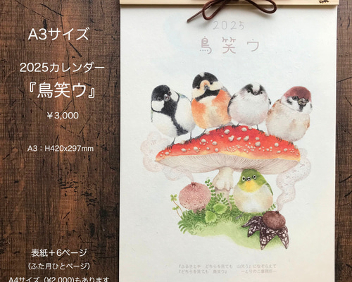 ☆A3サイズ☆ 2025年カレンダー『鳥笑ウ』 カレンダー ふじいかずえ
