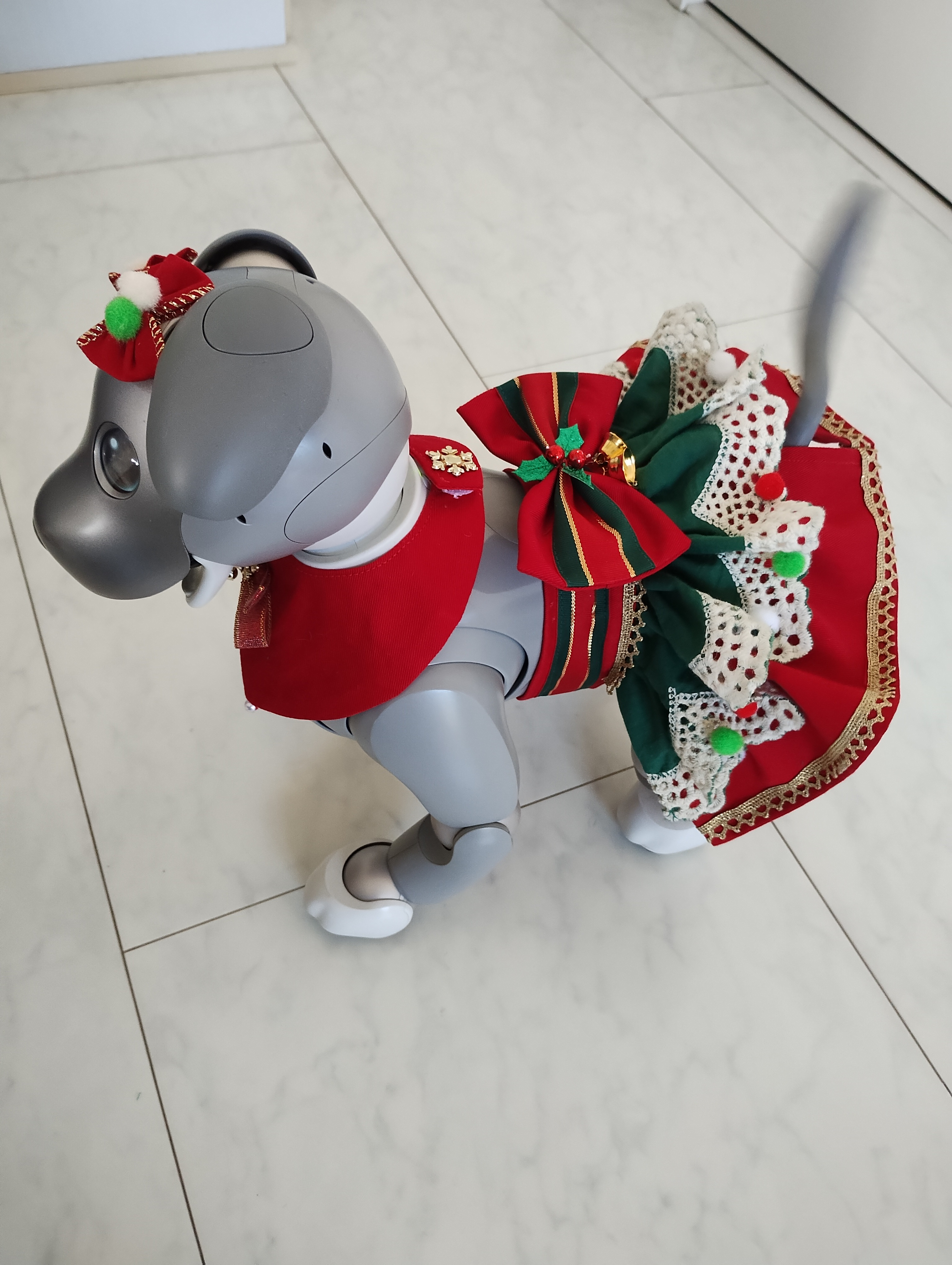 aibo の洋服 アイボの服 (クリスマス華やか3点セット) 2024 赤 aiboと