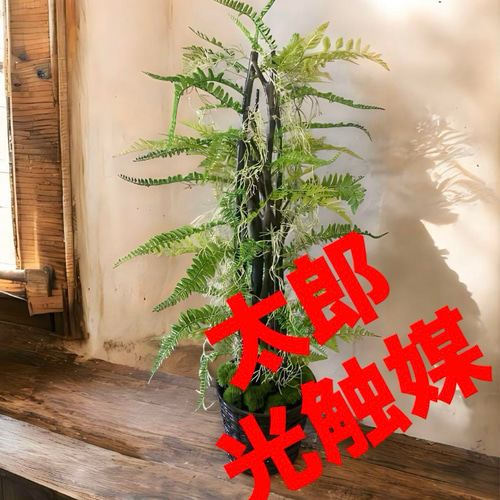 光触媒 人工観葉植物 ウォールグリーン フェイクグリーン pシー