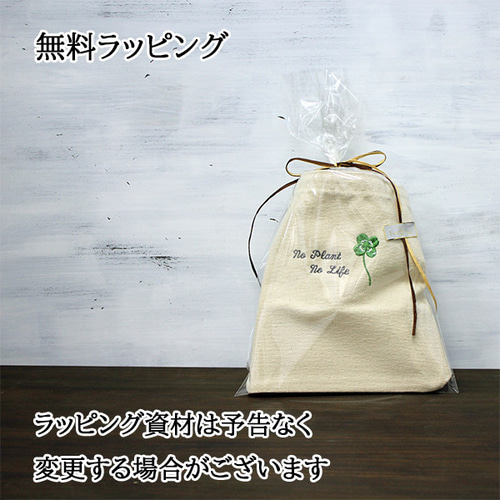 刺繍で名入れ ミニトートバッグ ランチバッグ お散歩バッグ 【bag-25