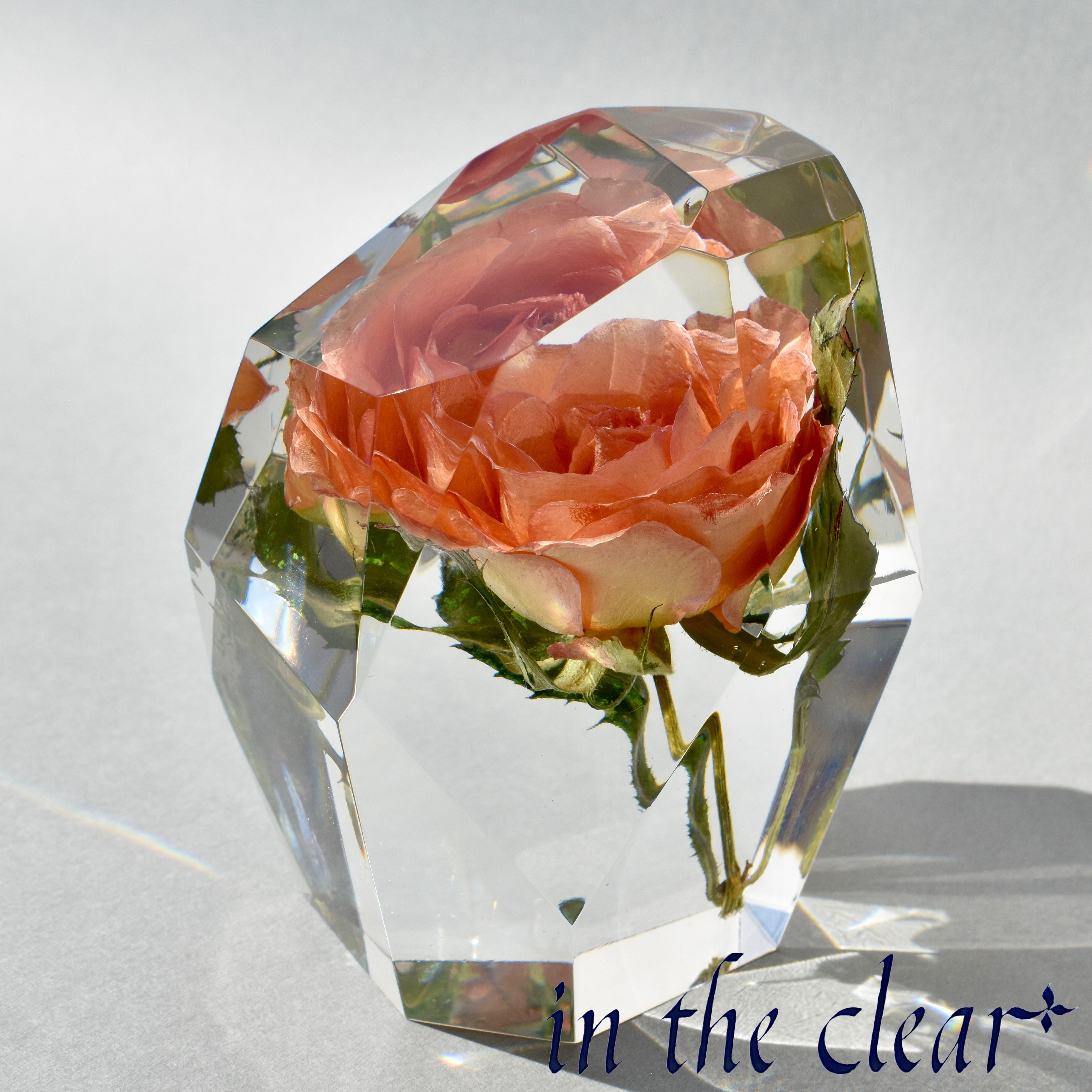 ◆ハーバリウム　213 華やかな染めバラ*.:。✿*゜¨゜テーパー ◇ハーバリウム 211 染めバラとラナン*.:。✿*゜¨