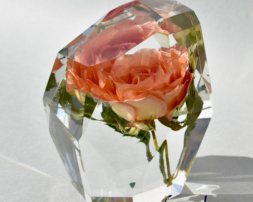 e7b95895fbeb54450e6f8993e2e4cc