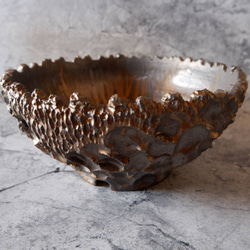 9号燻し金彩平鉢644　塊根植物　多肉植物　盆栽　植木鉢　作家鉢　沖縄 1枚目の画像