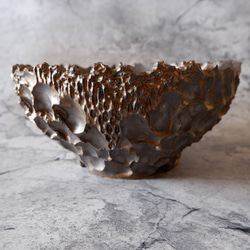 9号燻し金彩平鉢644　塊根植物　多肉植物　盆栽　植木鉢　作家鉢　沖縄 3枚目の画像