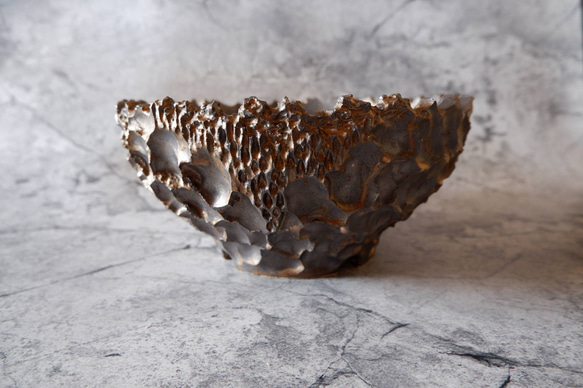 9号燻し金彩平鉢644　塊根植物　多肉植物　盆栽　植木鉢　作家鉢　沖縄 3枚目の画像