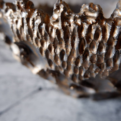 9号燻し金彩平鉢644　塊根植物　多肉植物　盆栽　植木鉢　作家鉢　沖縄 2枚目の画像