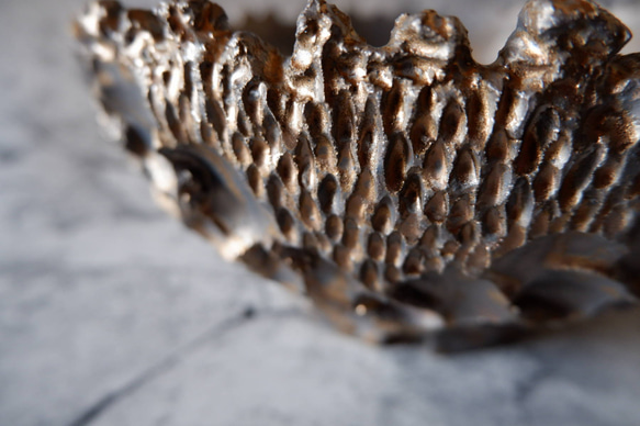 9号燻し金彩平鉢644　塊根植物　多肉植物　盆栽　植木鉢　作家鉢　沖縄 2枚目の画像