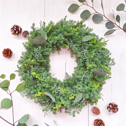 針葉樹香るクリスマスフレッシュリース/ユーカリ/選べる2サイズ/玄関