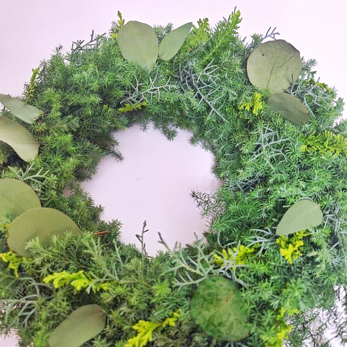 針葉樹香るクリスマスフレッシュリース/ユーカリ/選べる2サイズ/玄関