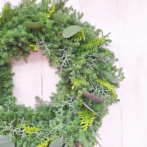 針葉樹香るクリスマスフレッシュリース/ユーカリ/選べる2サイズ/玄関