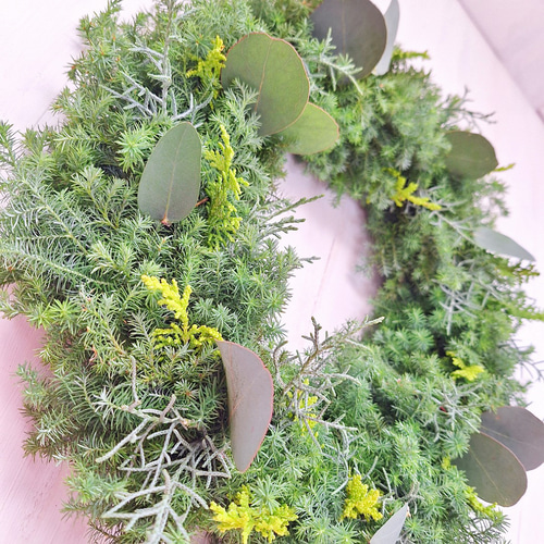 針葉樹香るクリスマスフレッシュリース/ユーカリ/選べる2サイズ/玄関