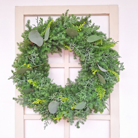 針葉樹香るクリスマスフレッシュリース/ユーカリ/選べる2サイズ/玄関