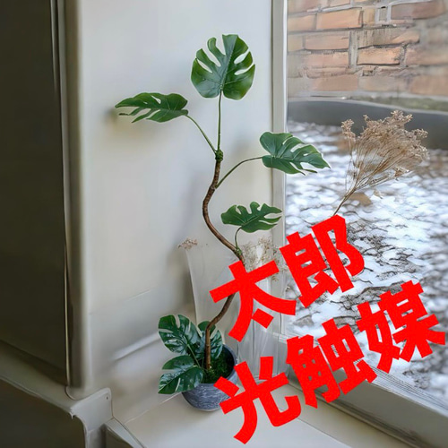 光触媒 人工観葉植物 フェイクグリーン フレッシュアーバン 光触媒 人工観葉植物 フェイクグリーン フレッシュアーバン