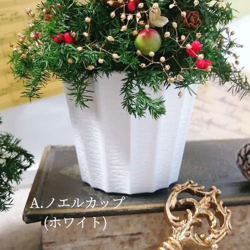 ミニツリーのフライングリース　（プリザーブド） eae90d98df53363b68d85e7a9d3f87