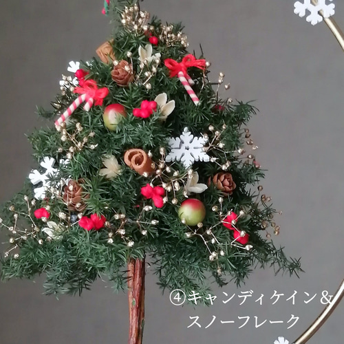 ミニツリーのフライングリース　（プリザーブド） eae90d98df53363b68d85e7a9d3f87