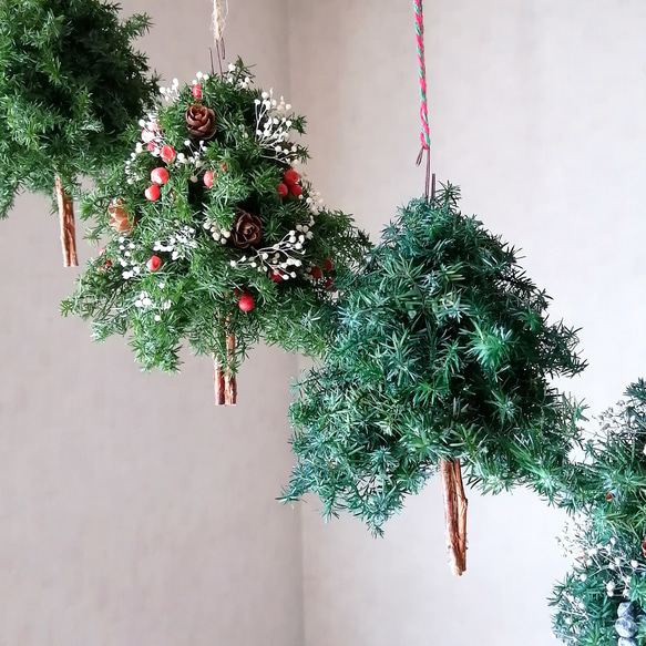 ミニツリーのフライングリース　（プリザーブド） ミニツリーのフライングリース （プリザーブド） リース ナチュラル