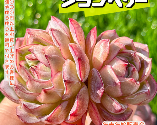 36d744567660fafb2edc2bdffdb24a