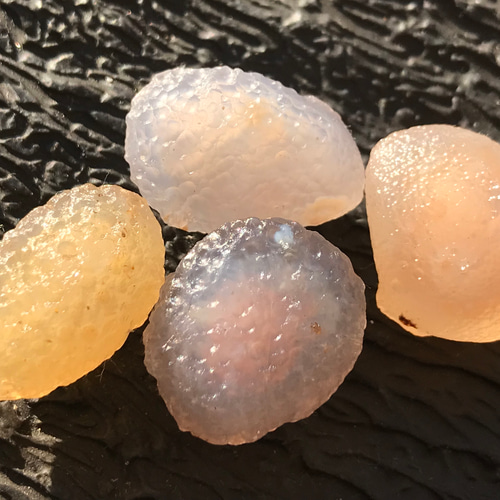 ゴビ石−1314 ゴビ瑪瑙 砂糖お菓子 その他置物 KIKI 通販 18460690