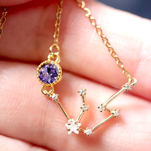 発送まで5日】選べる12星座とストーンbijou(12色)のネックレス