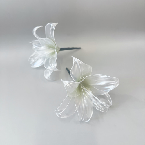 かすみ草ページ かすみ草コベントガーデン、種蒔き→地植えからの変遷 | CAINZ