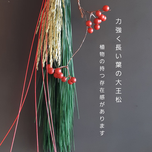 凛としたシンプルでモダンな正月飾り 存在感ある大王松と幸福の