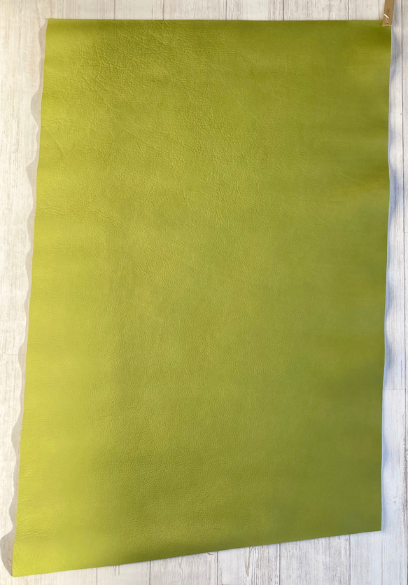 抹茶を使ったサステナブル素材　抹茶レザー　55×80cm 2枚目の画像