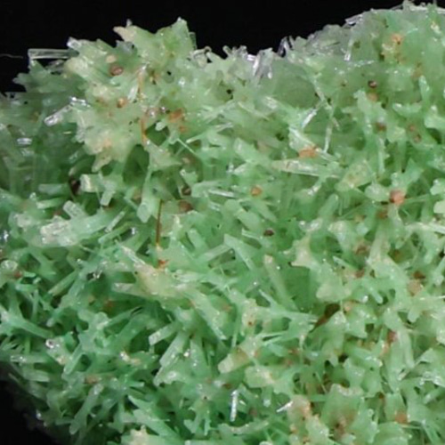 自然界による緑色の綺麗な変種』 天然 グリーン セレナイト 9g 鉱物