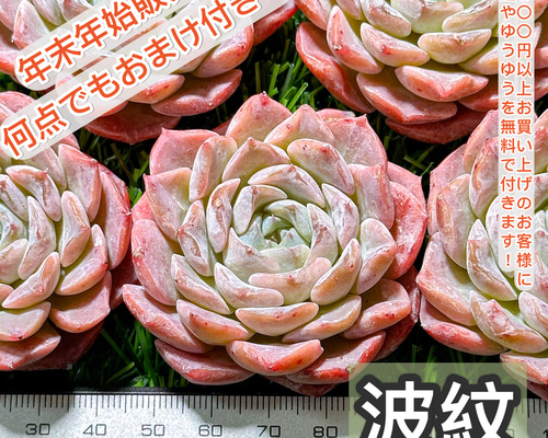 3c1a5482ba671e9d5ab2f5b13f47a4