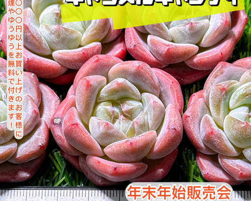 0878d6df51687e520a833d3be486a5