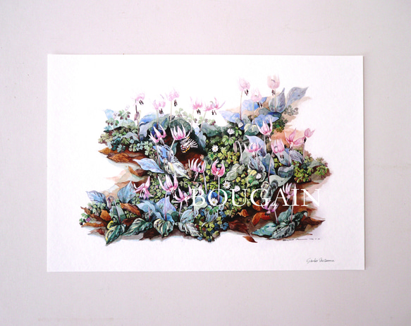 カタクリ 】 ORIGINAL GICLEE 水彩画を高級紙に印刷した鑑賞用絵画