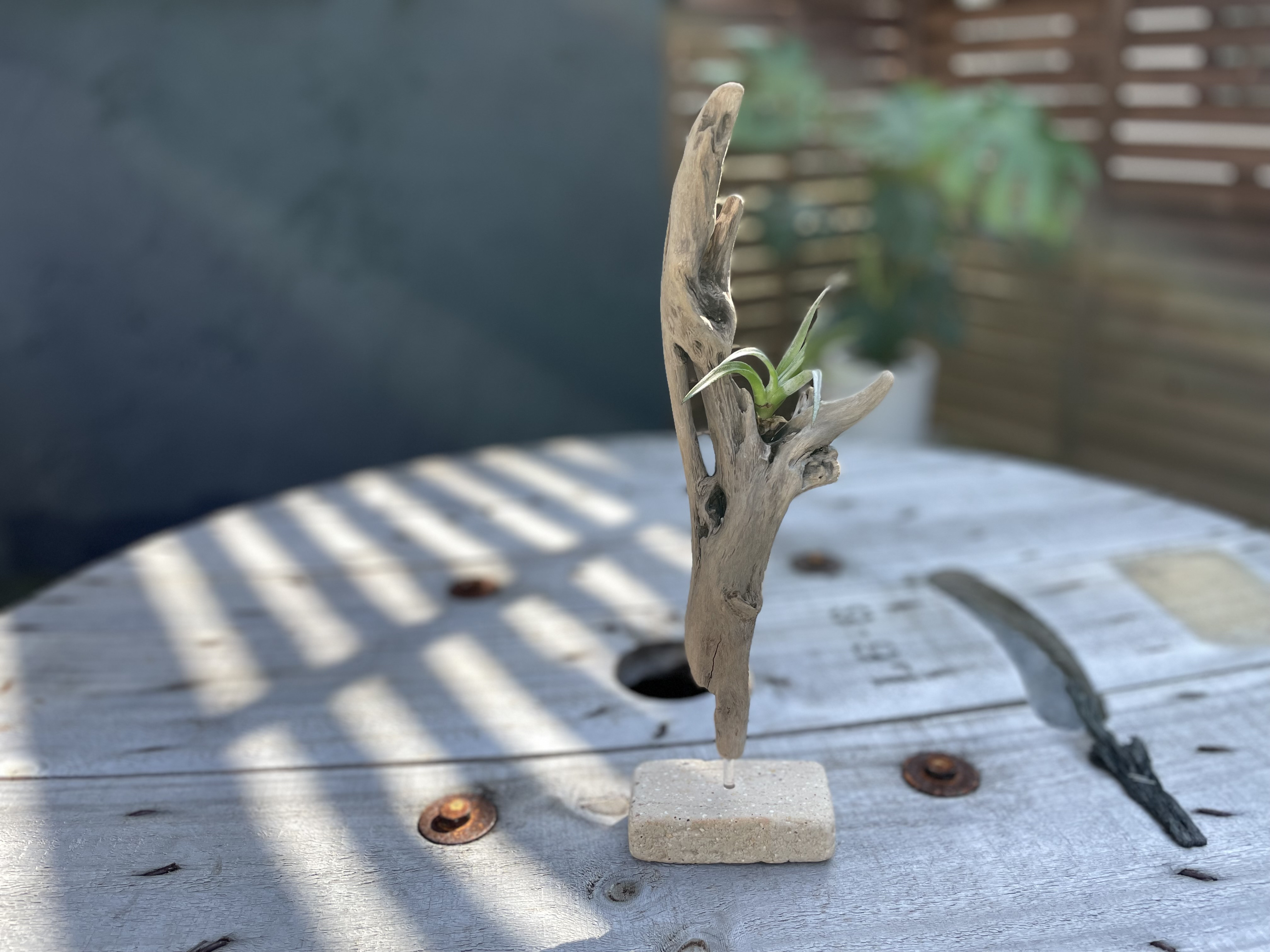 流木の置物 流木のオブジェ その他置物 SHIMS 通販 16940763｜Creema(クリーマ)