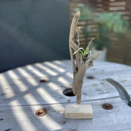 流木インテリア 立体・オブジェ TOMBi 通販 18464071｜Creema