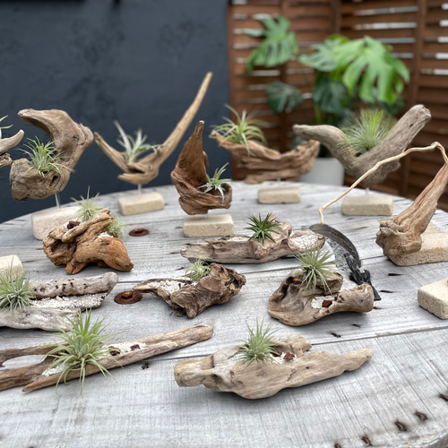 流木インテリア 立体・オブジェ TOMBi 通販 18464264｜Creema