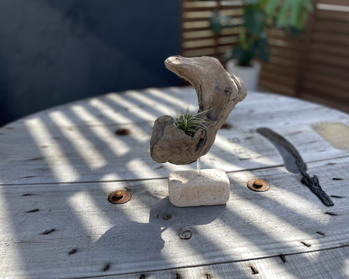 流木インテリア 立体・オブジェ TOMBi 通販 18464264｜Creema