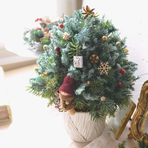 クリスマスベルの鳴るクリスマスツリー・本物のヒムロスギツリー・妖精