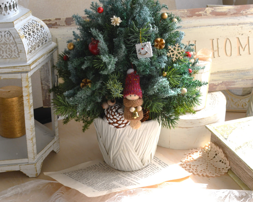 a2c4cef7f51a1922ec817c3441a18c