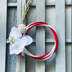 2026年しめ縄 ピンポンマム ホワイト 冬支度 しめ縄 お飾り 正月飾り