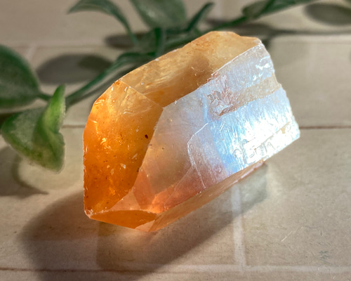 マスタークリスタル　グラウンディングクォーツ　ゴールデンヒーラー ポイント 原石 マスタークリスタル グラウンディングクォーツ ゴールデンヒーラー