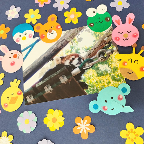 ラミネート可 写真 色紙 手紙 壁面 アルバム 飾り パーツ ～ミニ動物