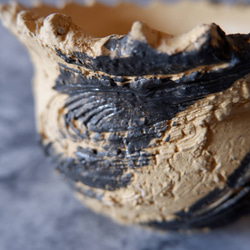 4.5号黄土黒化粧捻り裂紋鉢653　塊根植物　多肉植物　盆栽　植木鉢　作家鉢　沖縄 2枚目の画像