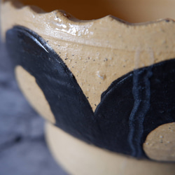 6号黄土黒化粧鉢655　塊根植物　多肉植物　盆栽　植木鉢　作家鉢　沖縄 2枚目の画像