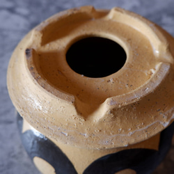 6号黄土黒化粧鉢655　塊根植物　多肉植物　盆栽　植木鉢　作家鉢　沖縄 6枚目の画像