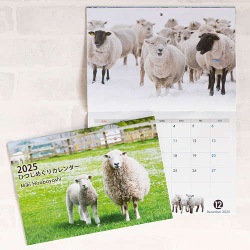 2025ひつじめぐりカレンダー A4（開いてA3） 撮影：平林美紀
